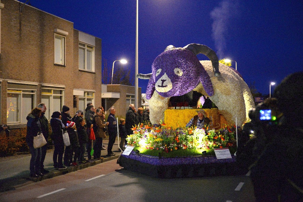 ../Images/Bloemencorso Noordwijkerhout 231.jpg